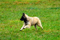 Wings @ 5 months
