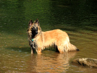 Calypso 10 mos