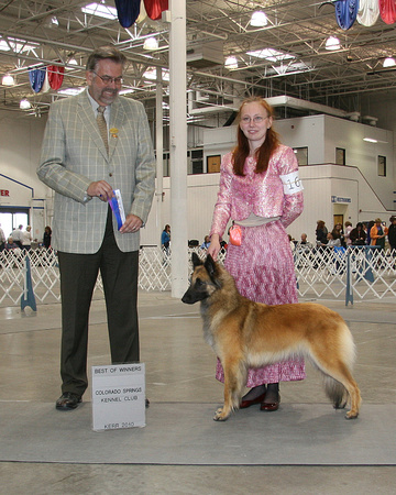 BOW for 1 pt Colo Springs AKC, 22 mos